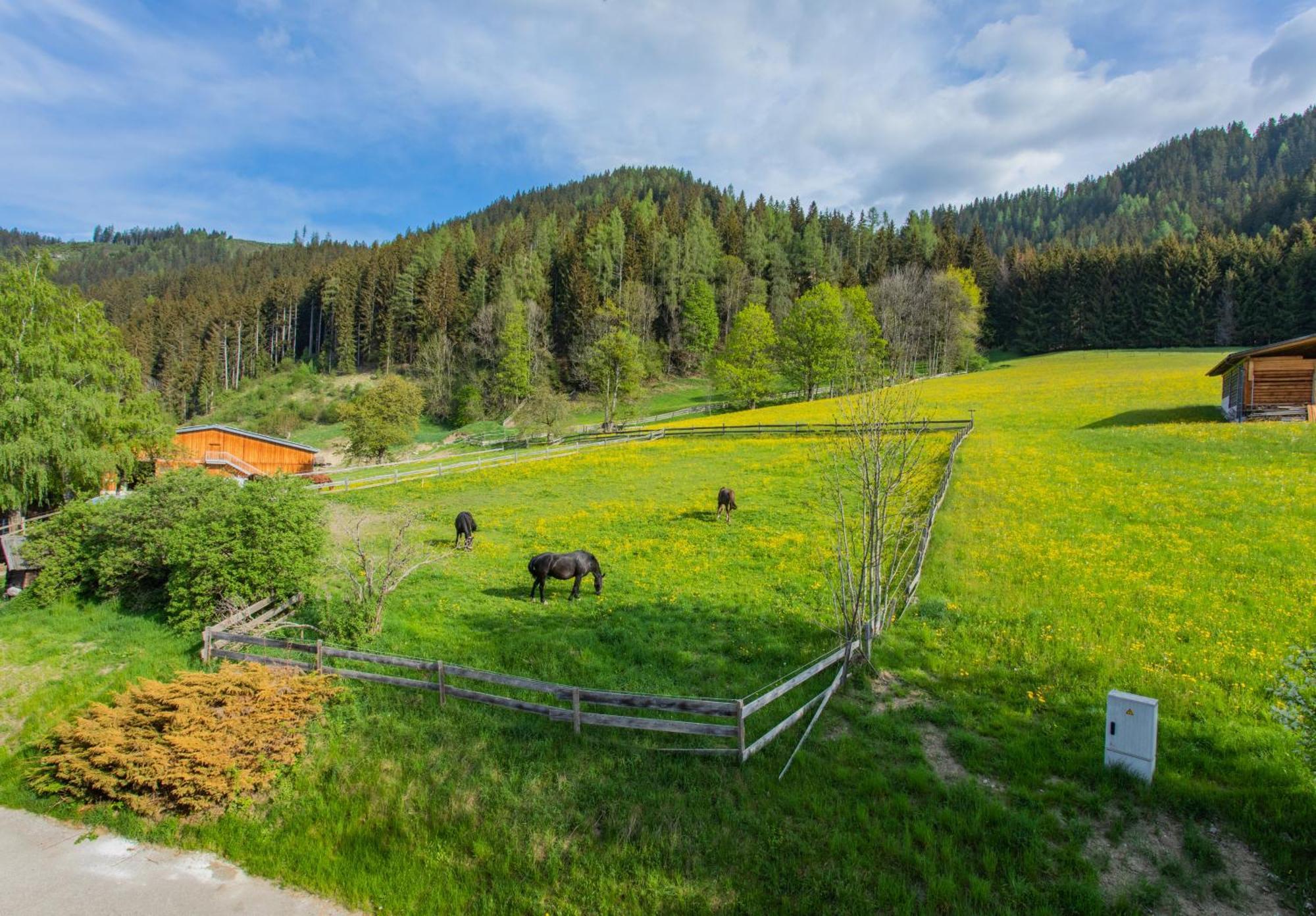Huberhof 1 By Alpenidyll Apartments Schladming Ngoại thất bức ảnh